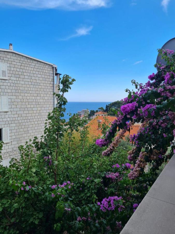 Apartments Deranja II Дубровник Екстериор снимка